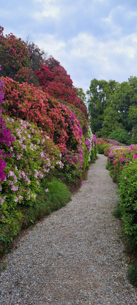 Uno dei sentieri tra le Azalee di Villa Carlotta