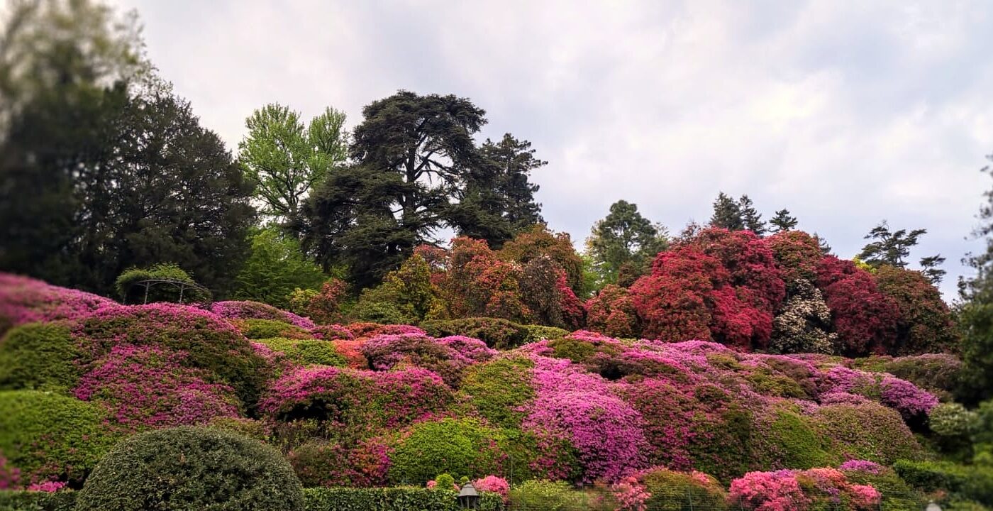 Calend-Lario: Tremezzo da vivere, assaggiare e guardare con occhi nuovi. 7 chicche uniche per scoprire (o riscoprire) il borgo di Tremezzo.