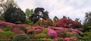 Calend-Lario: Tremezzo da vivere, assaggiare e guardare con occhi nuovi. 7 chicche uniche per scoprire (o riscoprire) il borgo di Tremezzo.
