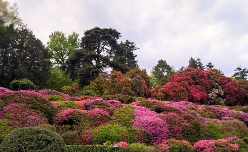 Calend-Lario: Tremezzo da vivere, assaggiare e guardare con occhi nuovi. 7 chicche uniche per scoprire (o riscoprire) il borgo di Tremezzo.